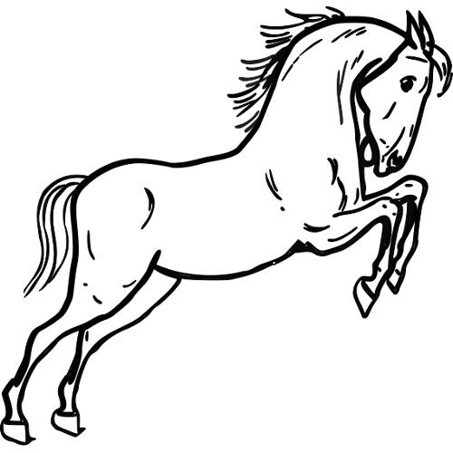 Kolorowanka koń stojący na dwóch łapach